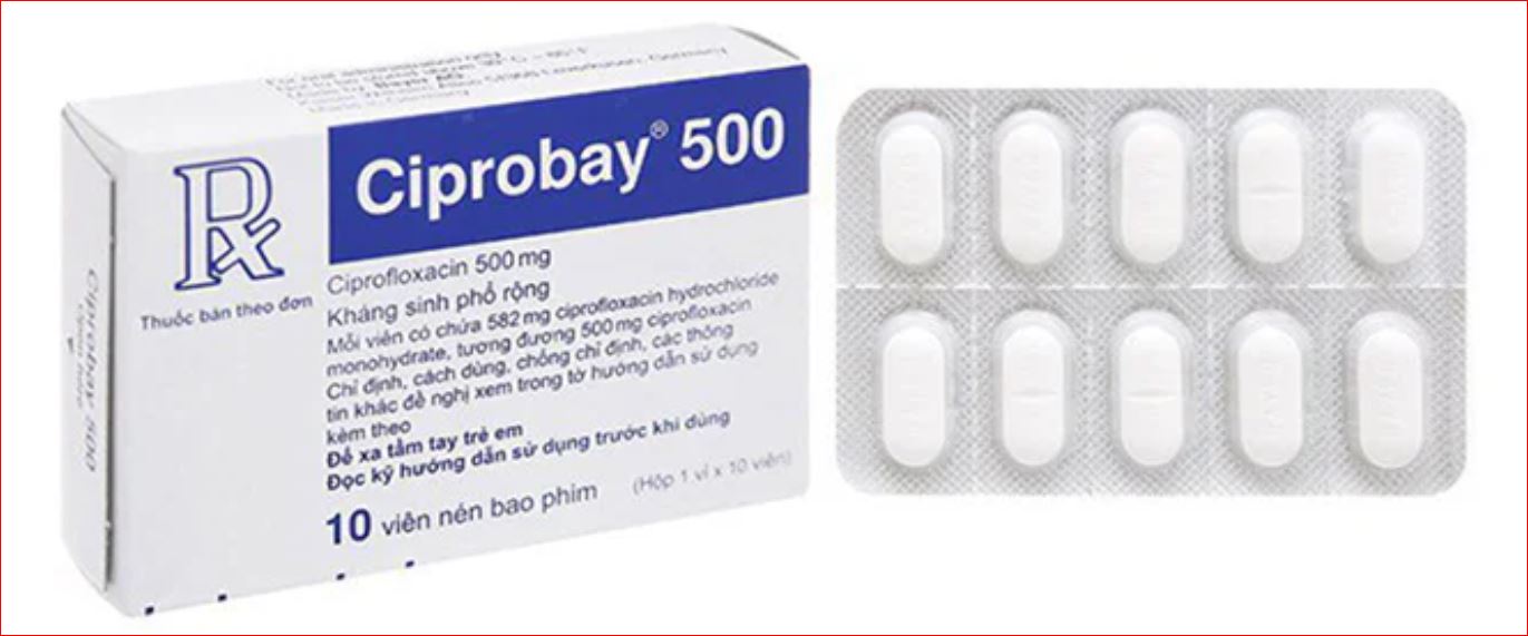 CIPROBAY 500MG TABLET 10'S