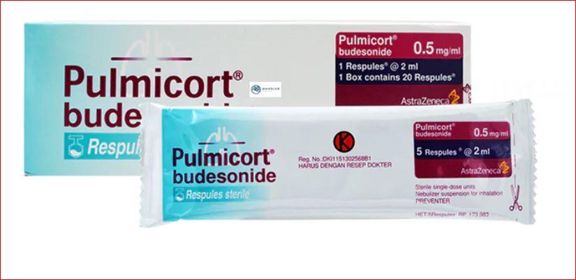 PULMICORT 0.5 NEB/SUSP.2ML 20'S