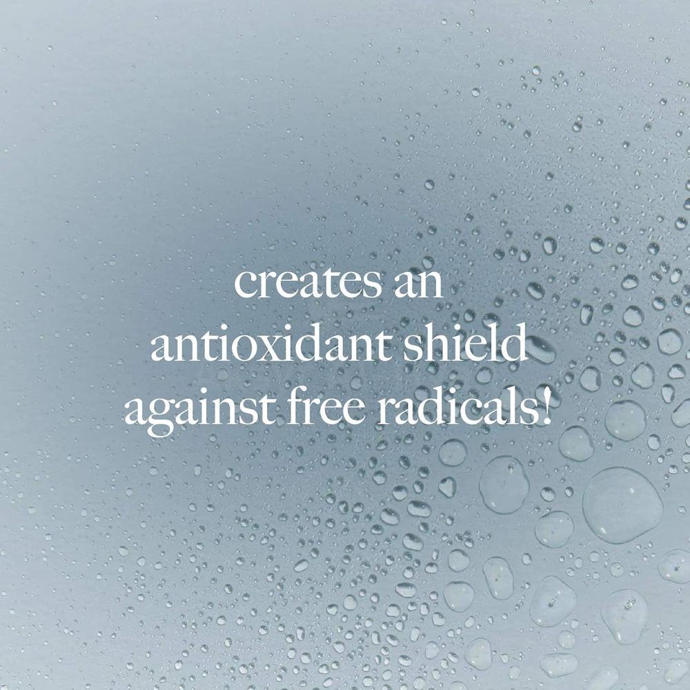 DERMALOGICA ANTIOXIDENT HYDRA MIST 150ML19017