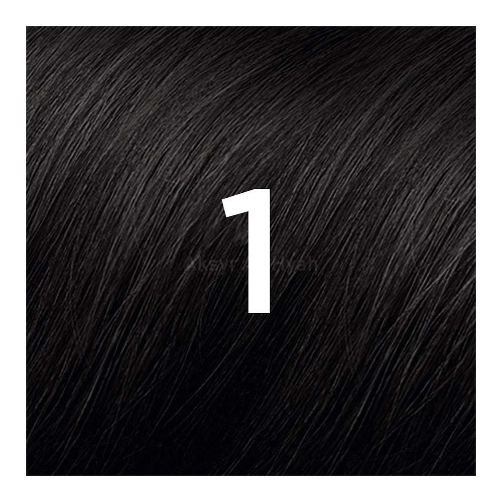 PHYTO COLOR 01 BLACK 1