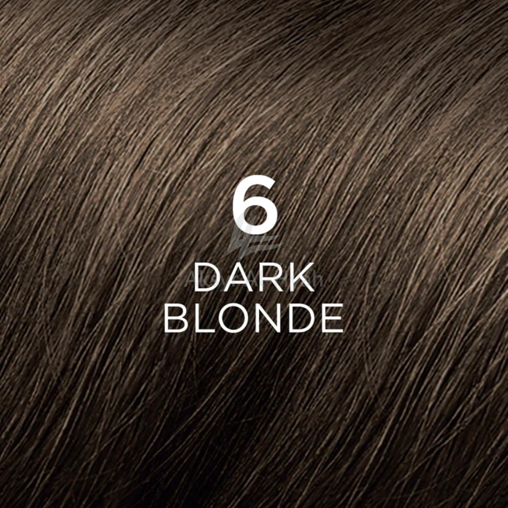 PHYTO COLOR 06 DARK BLOND 1