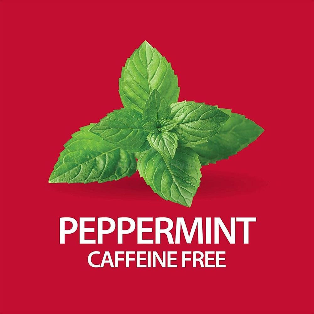 21 CH SLIMMING TEA PEPPERMINT 24'S #63713 5