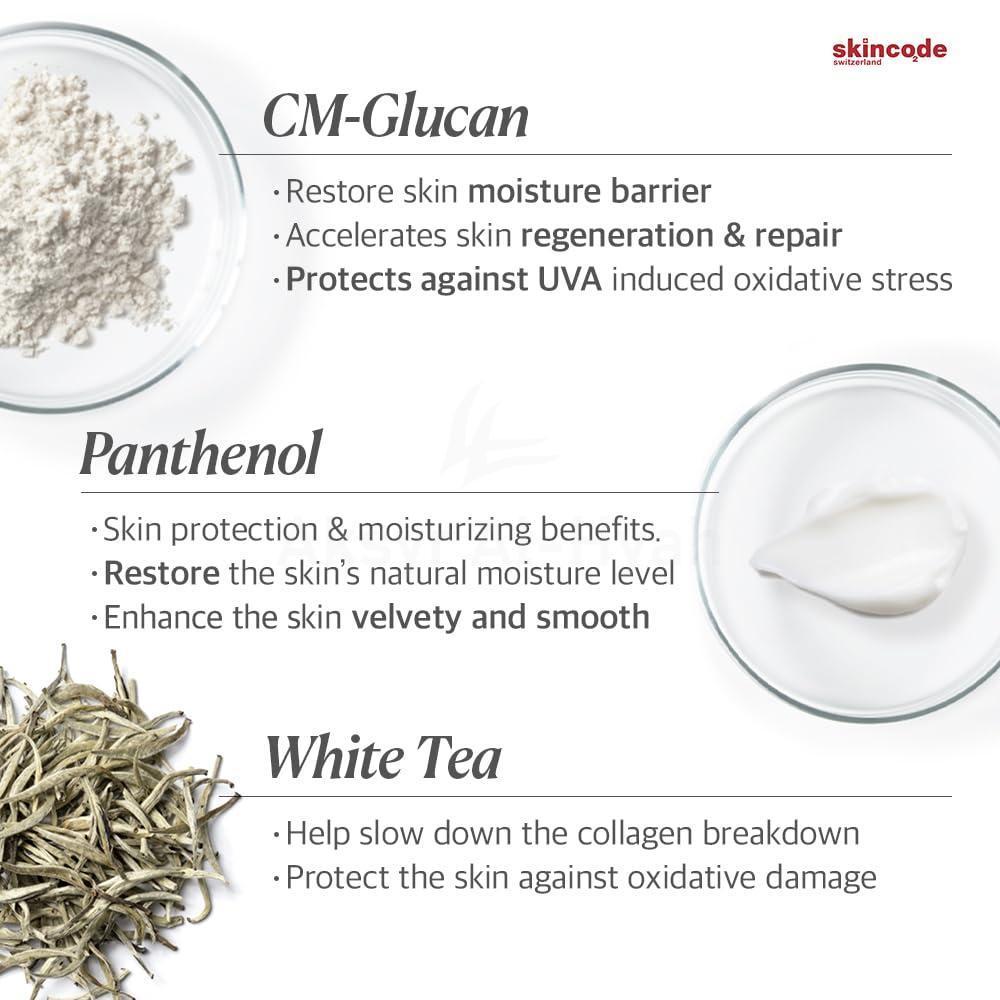 SKINCODE REGENERATING NIGHT CREAM 50ML #1005.2
