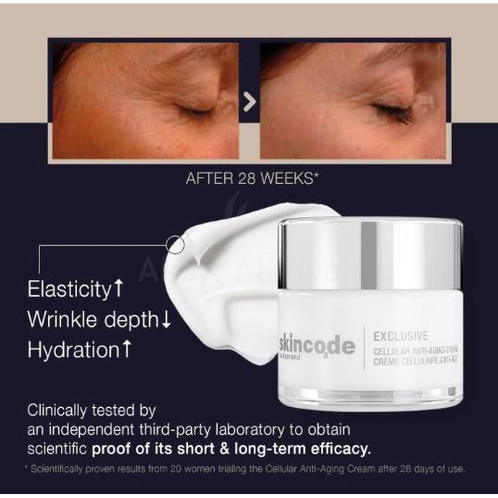SKINCODE CELLULAR ANTI-AGEING CREAM 50ML#5011.2 4