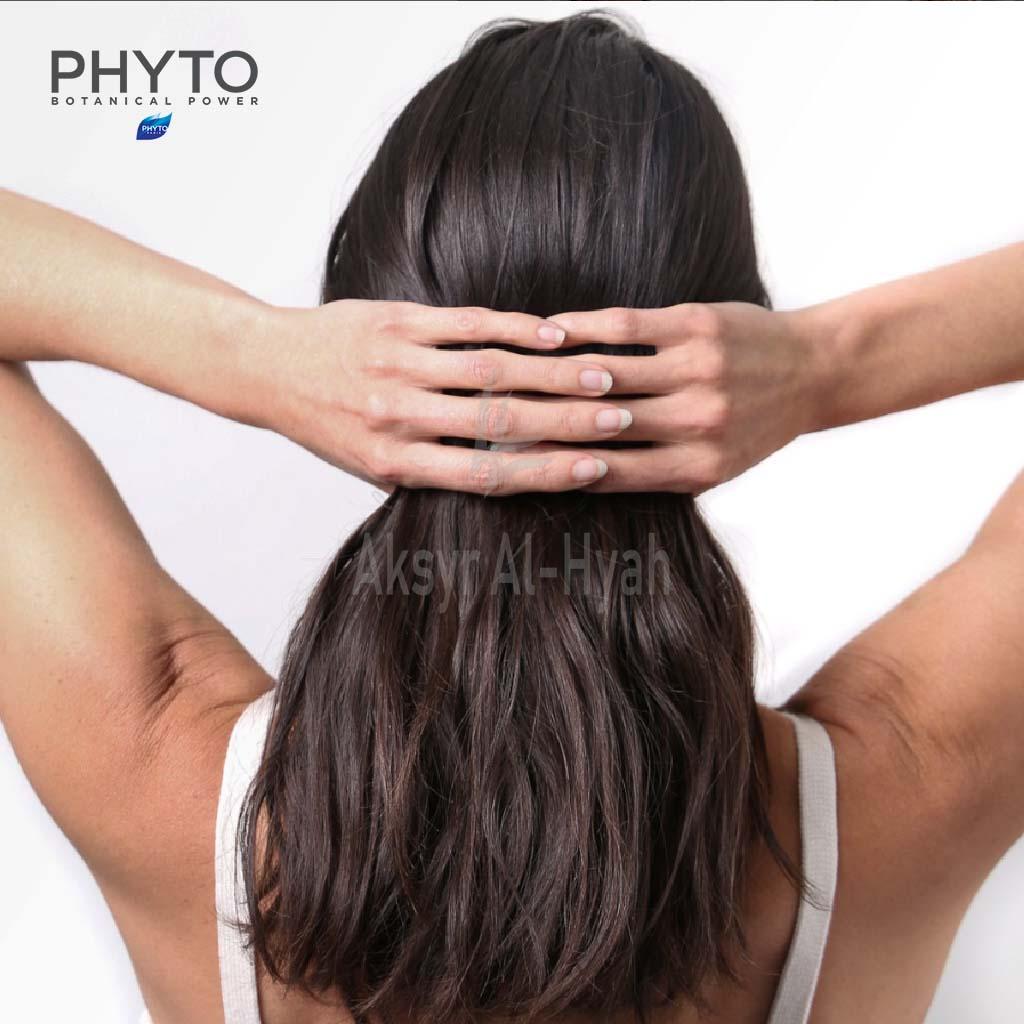 PHYTO COLOR 03 DARK BROWN 2