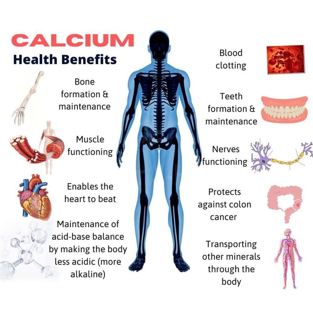 21 CH CALCIUM PLUS  TAB 120'S 5