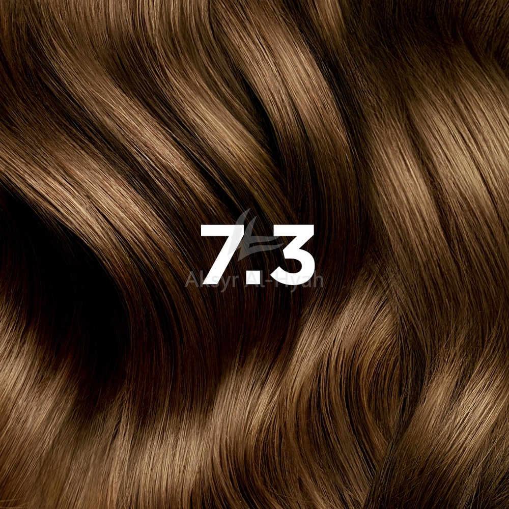 PHYTO COLOR 7.3 GOLDEN BLOND 2