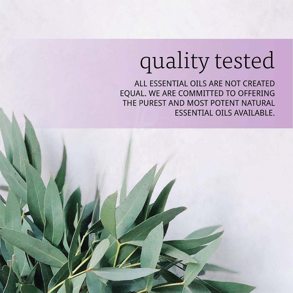 NOW EUCALYPTUS OIL 30ML#7545 4