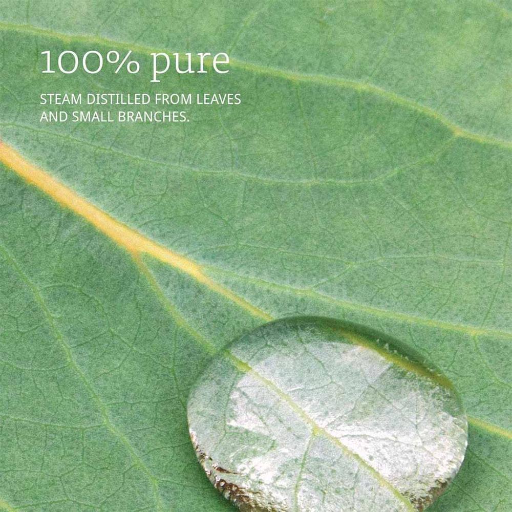 NOW EUCALYPTUS OIL 30ML#7545 5