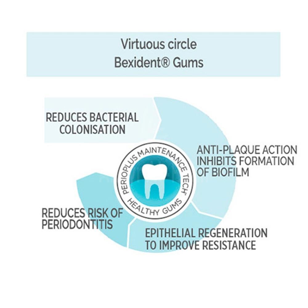 BEXIDENT GUM DAILY USE MOUTHWASH 250ML#BX006 1