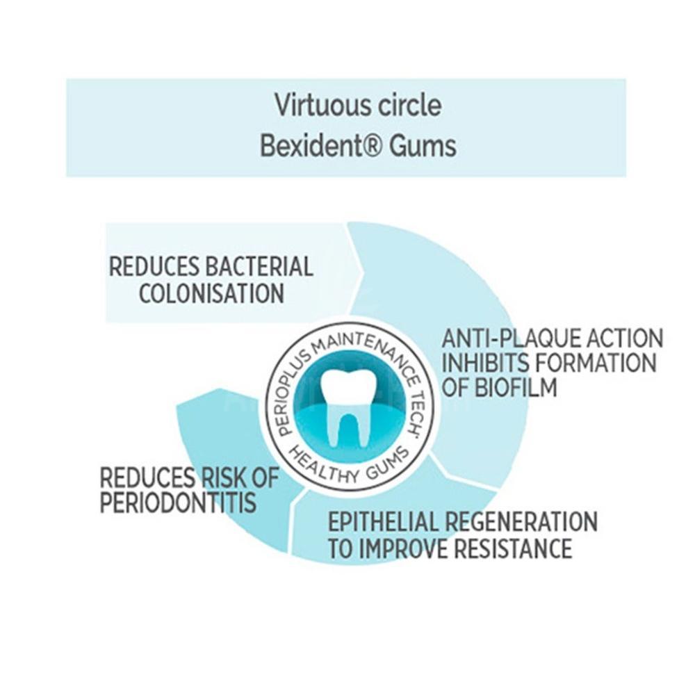 BEXIDENT GUM DAILY USE TOOTHPASTE 75ML#BX010 3