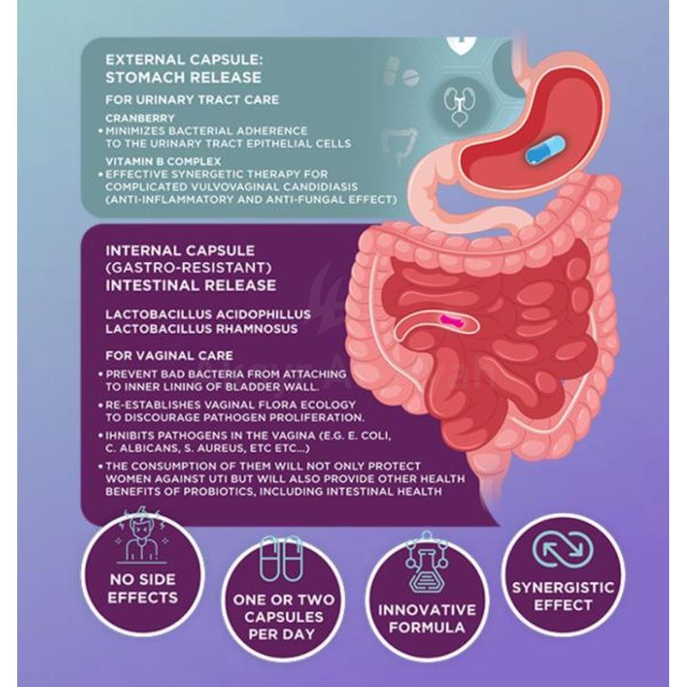 APEXAM UTI CRANBIOTICS CAPSULES 20'S 3