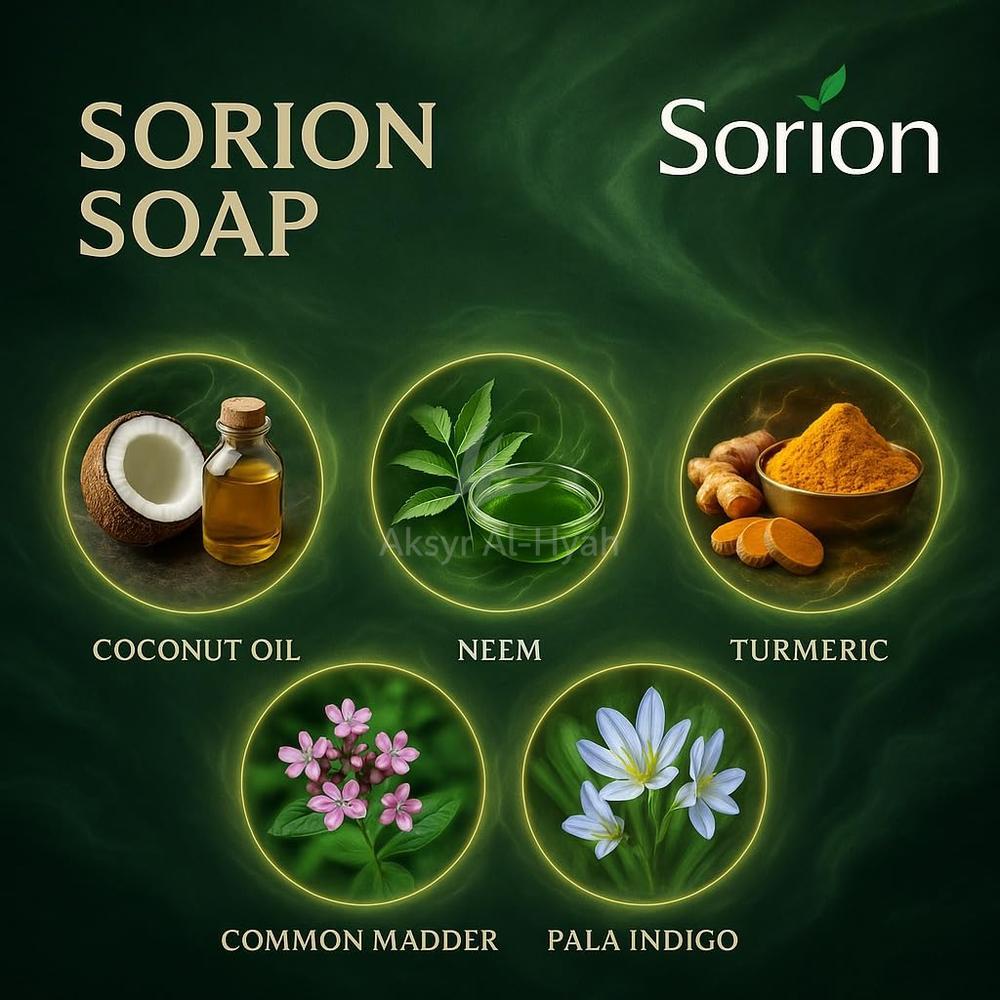 Sorion Face & Body Soap 100G #708062 2